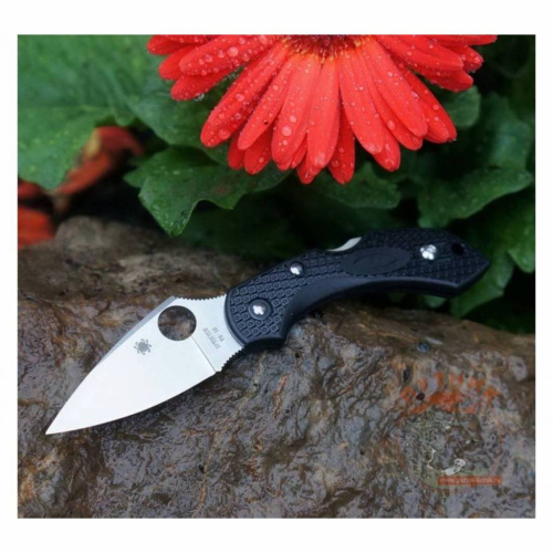 Складной нож Spyderco Dragonfly 2 - 28PBK2 фото 20 Складной нож Spyderco Dragonfly 2 - 28PBK2 фото 20